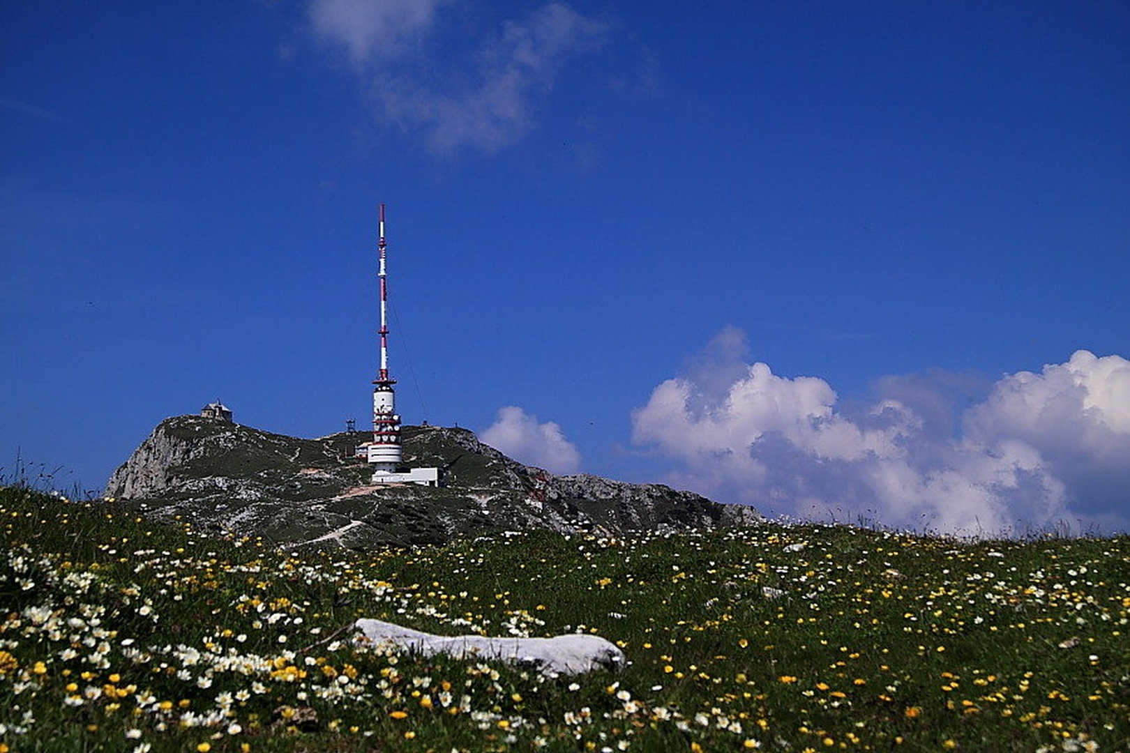 Še čez travnik by