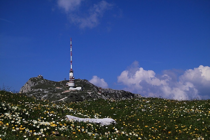 Še čez travnik by kroznik50k