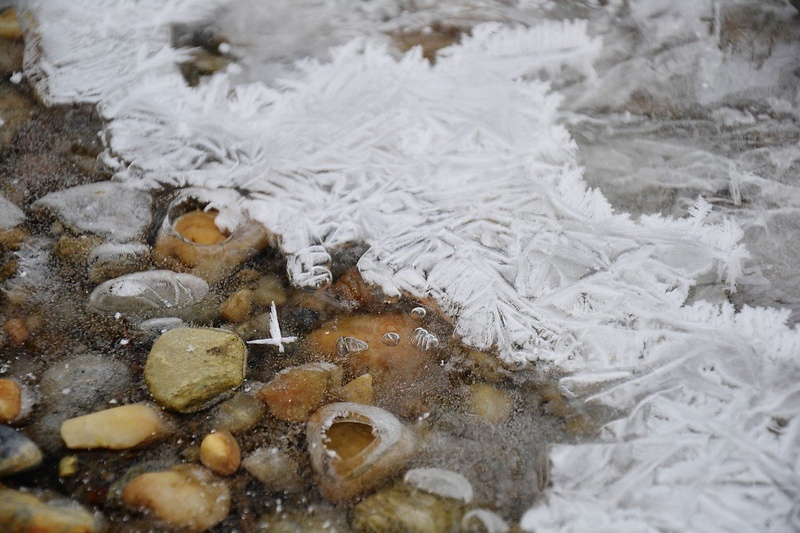 frozen by virginia