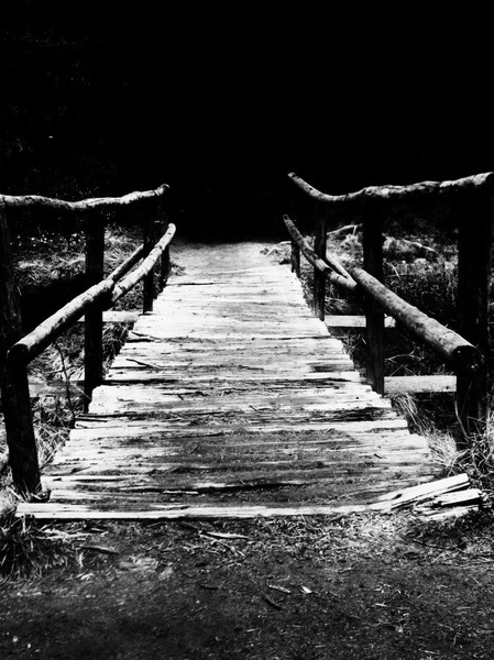 take me to the other side by virginia