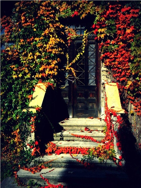 enter by virginia