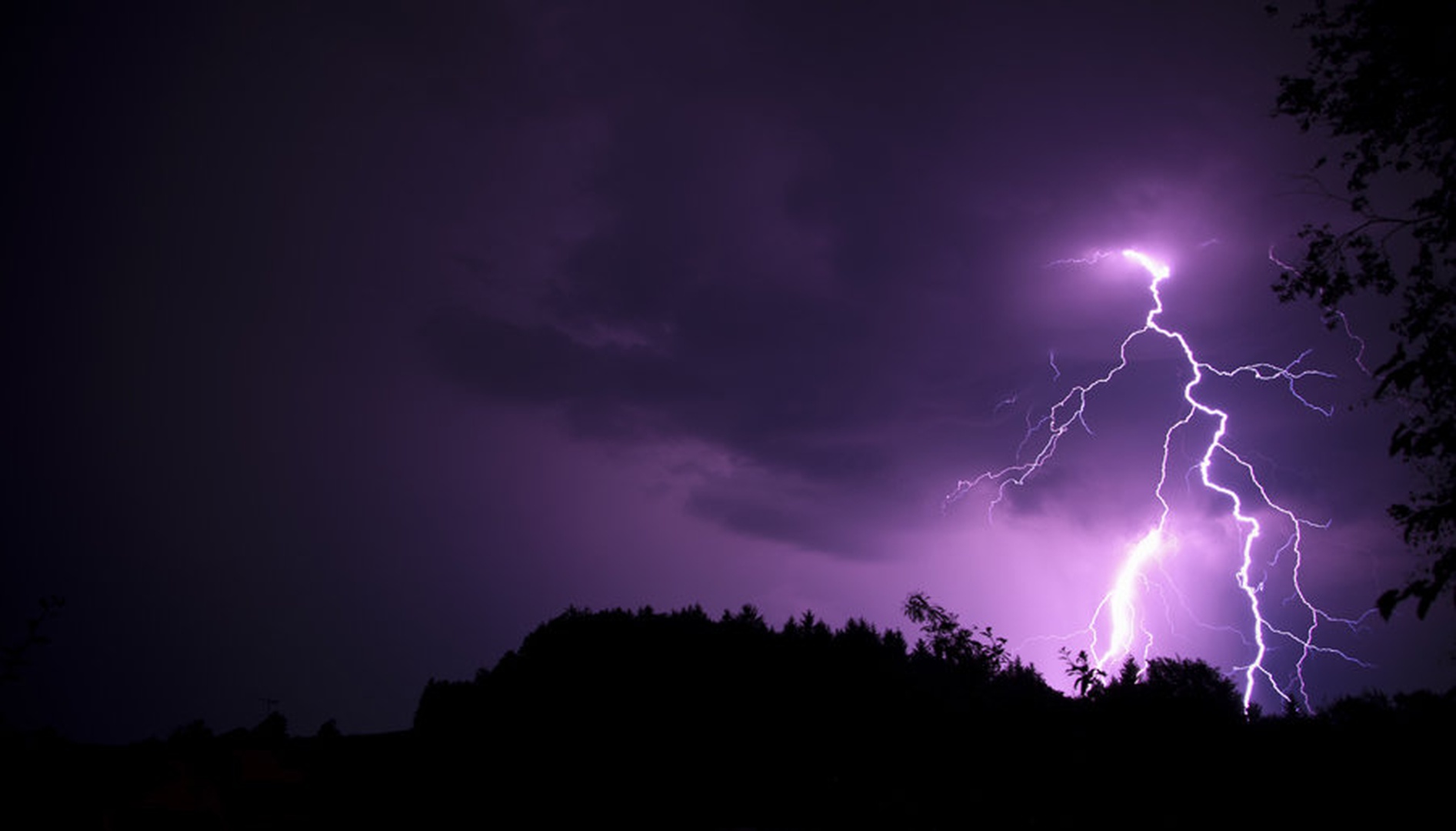 Electricity by Bine Zarabec