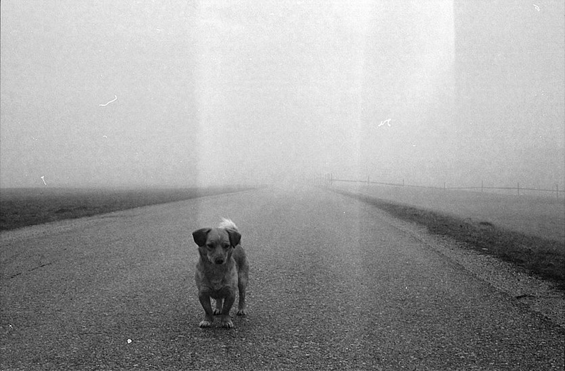 Waiting on a friend by Martin Lavrič