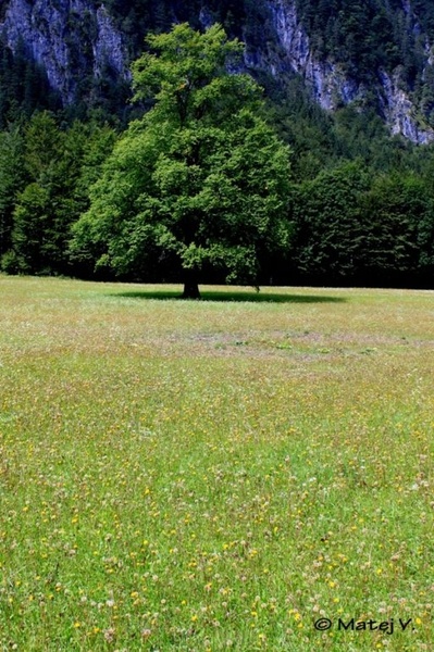 Pravljična idila by Matej V.