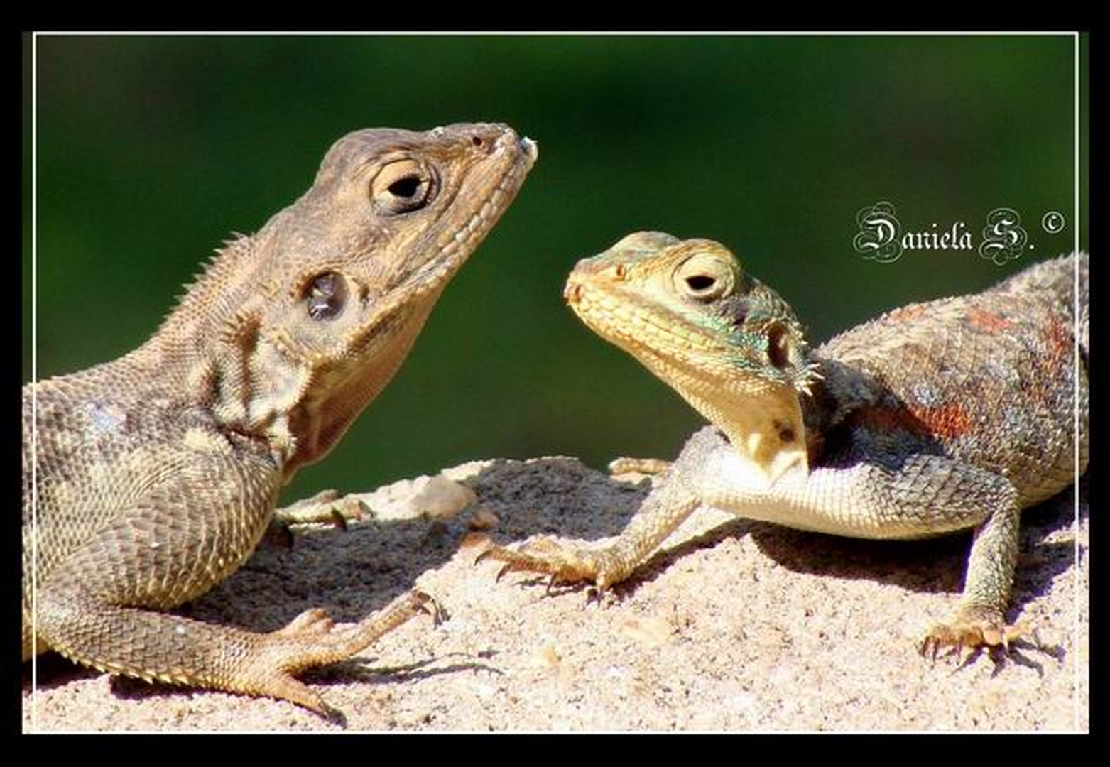 Sunbath... by