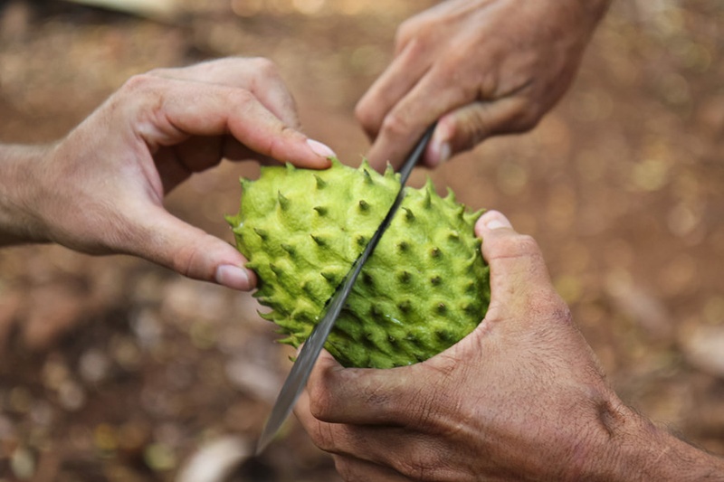 Guanabana by matejd