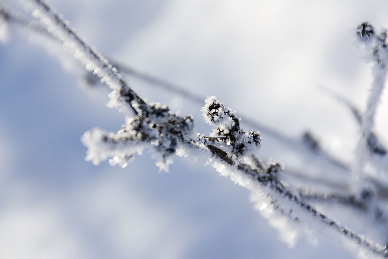 Frozen by Tilen Šoštarič