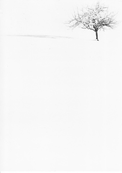 Alone by Jernej Kaše