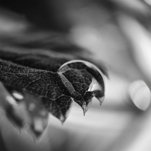 One Drop At A Time by Žak
