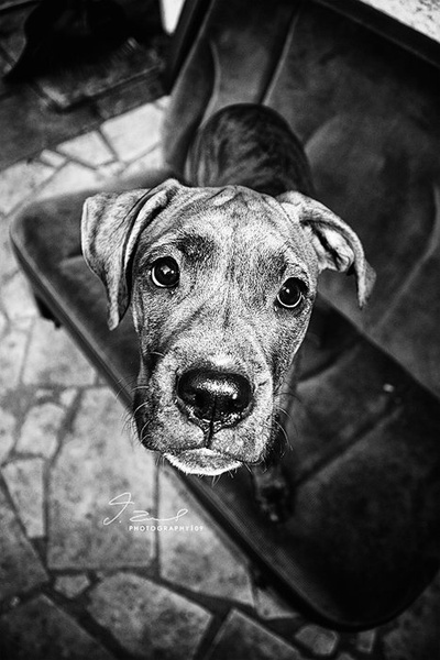 This is my good side by Žak