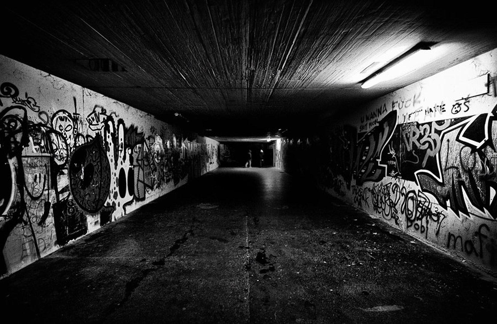 -1107- by Žak