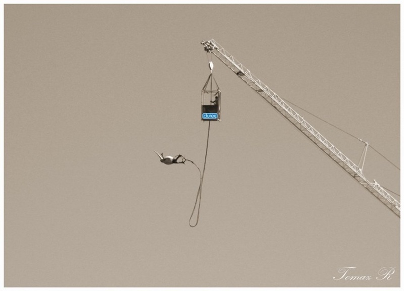 Safe bungee by tomaz.rehar@gorenje.si