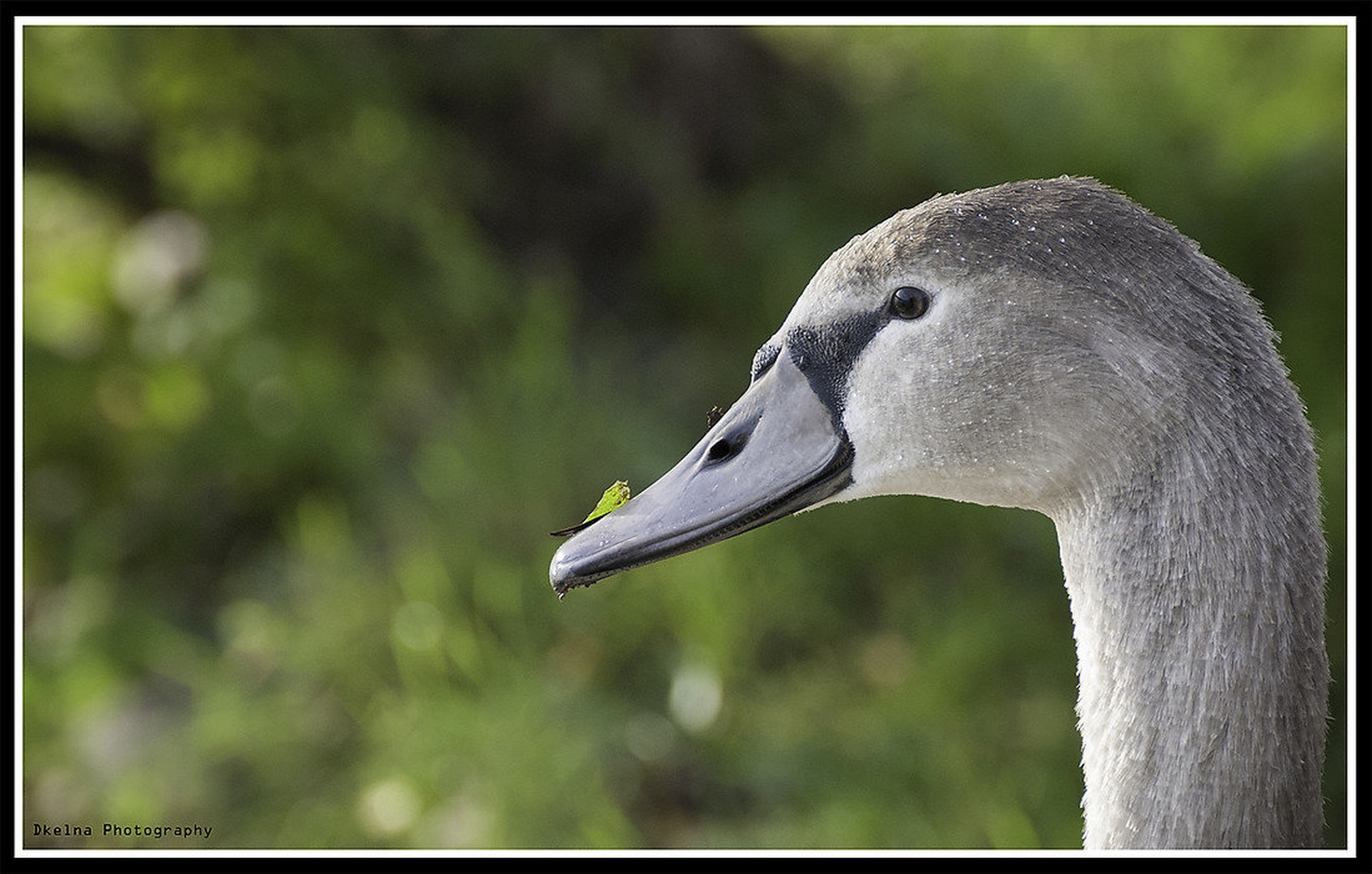 Mlad, a lep! by Denis