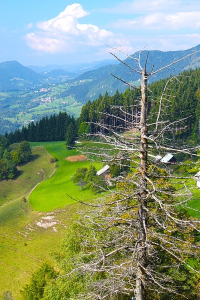 Osamljeni stražar nad dolino ! by Dušan Renko
