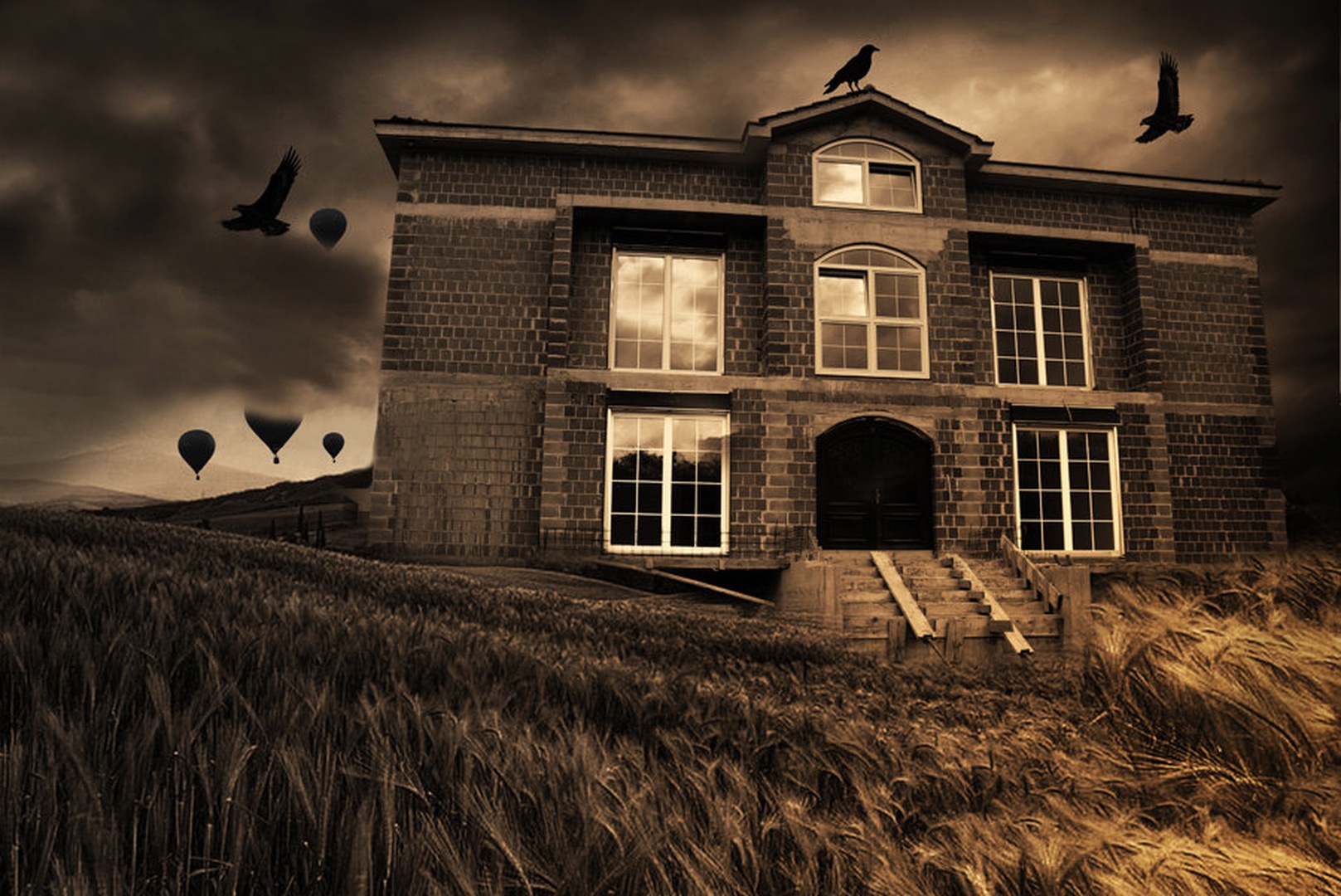 The house of rising sun by Vid Levc