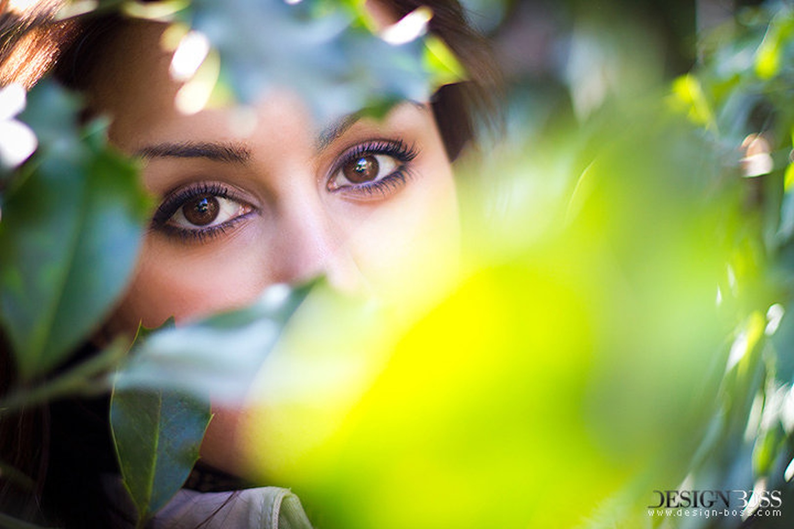 Hidden beauty. by Miroslav Rajković