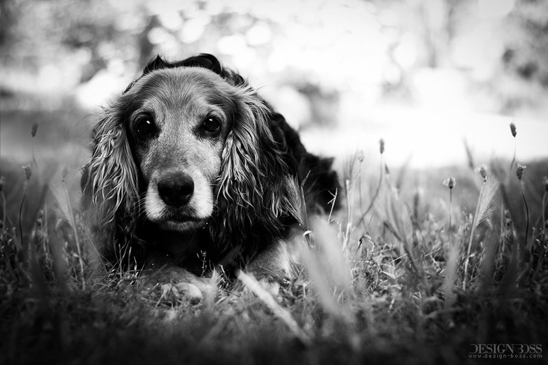 Play with me. by Miroslav Rajković