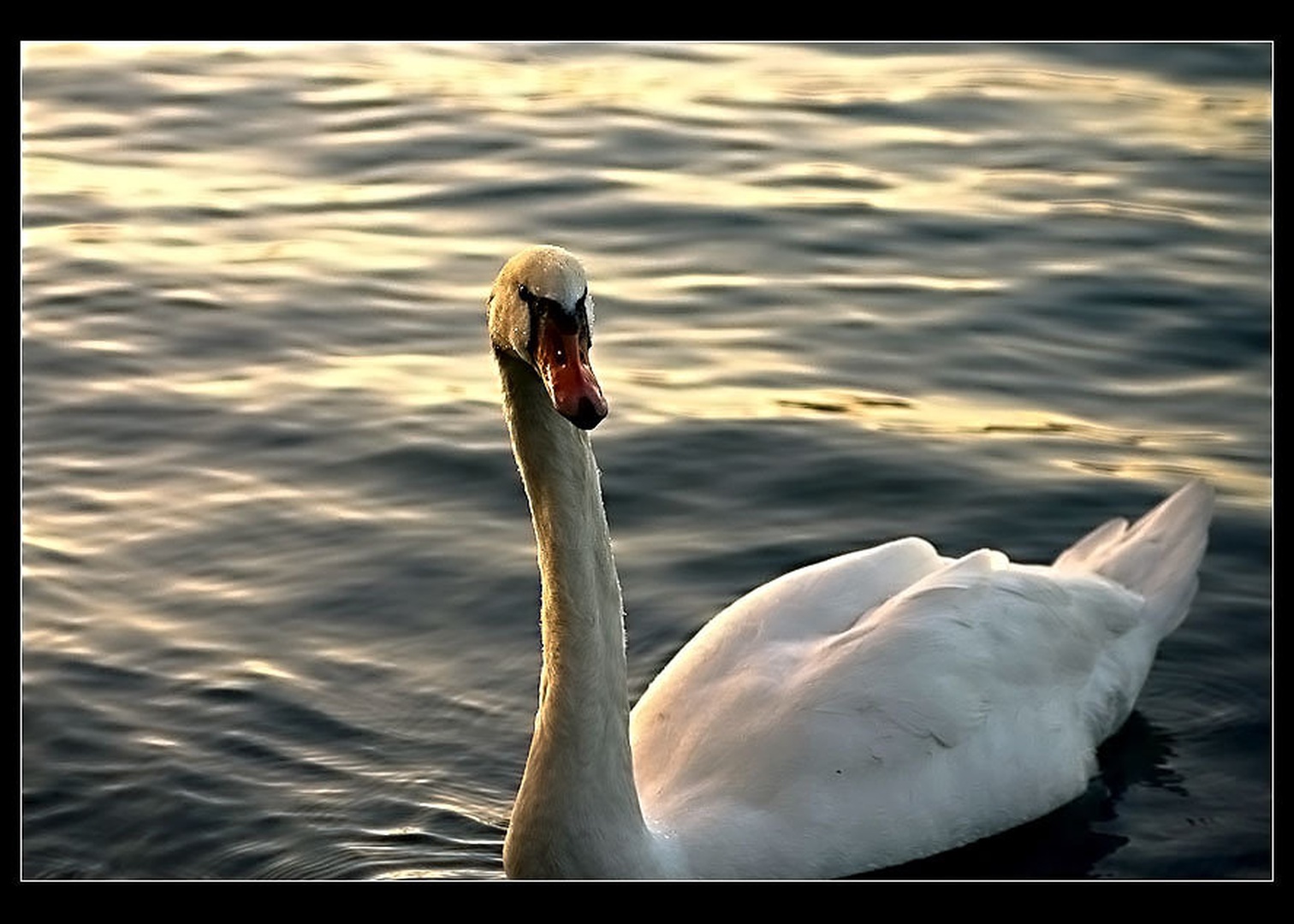 Ponos... by Sizgo