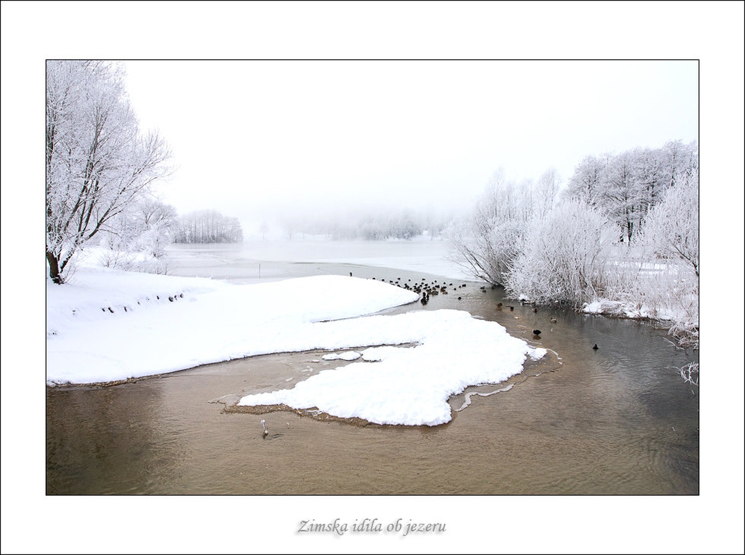 Zima zima bela by Sizgo