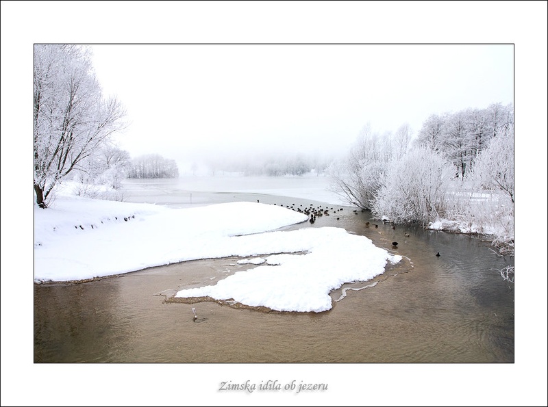 Zima zima bela by Sizgo