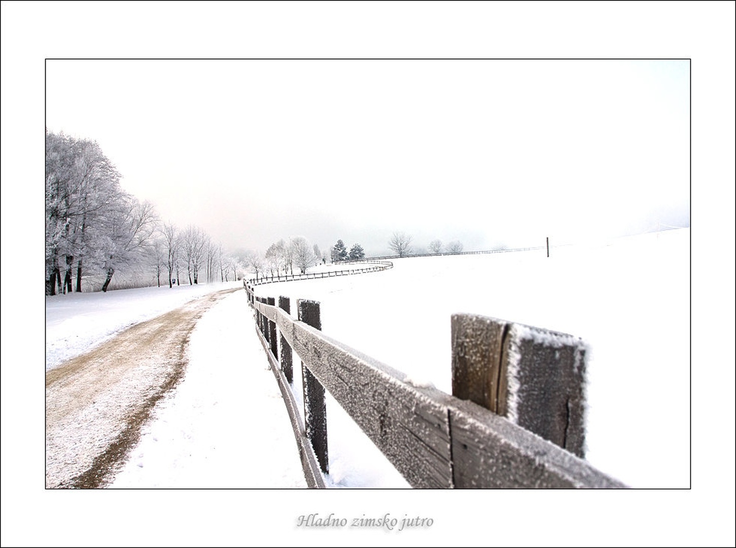 Belo by Sizgo