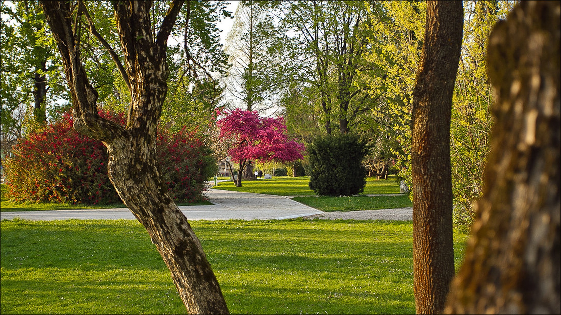 Sončni park by Sizgo