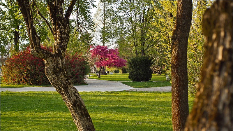 Sončni park by Sizgo