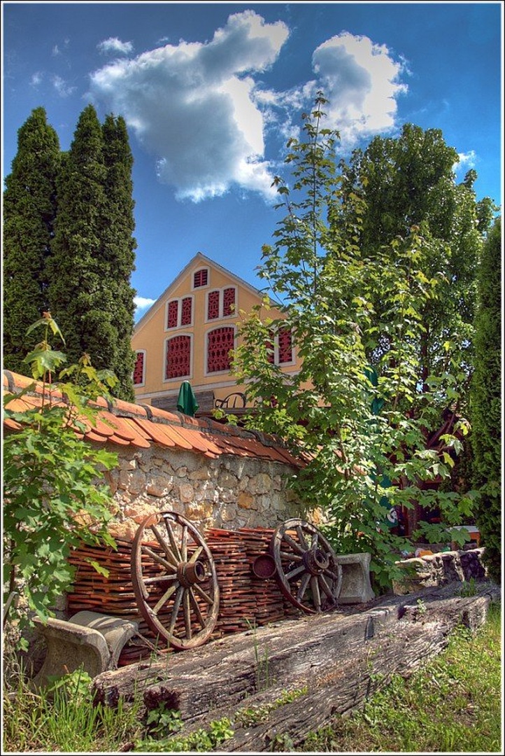 Štala Velun Velenje by Sizgo