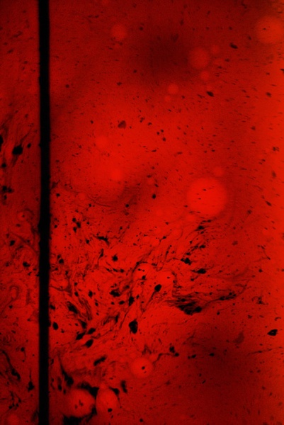 bloody hell by micc807