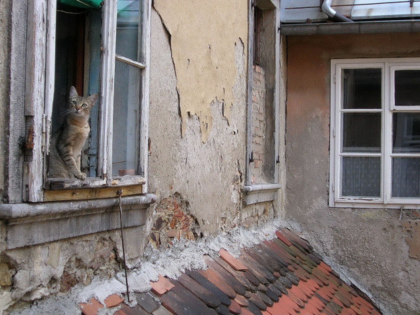 Živijo! by