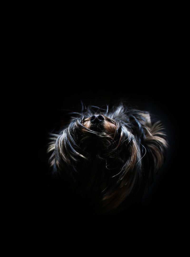 What's up there? by Vasilij Jenko