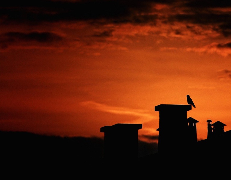Observer by Simon Bregar