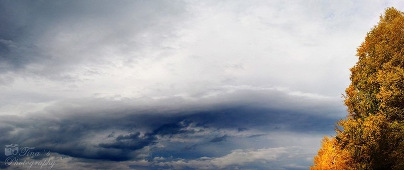 Panorama by Tina