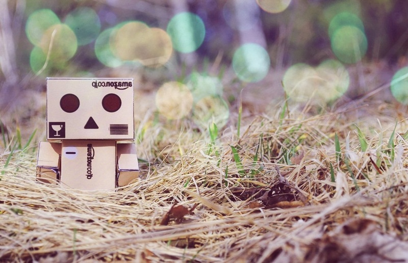 Danbo by Tina