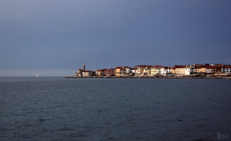 Piran by Teia