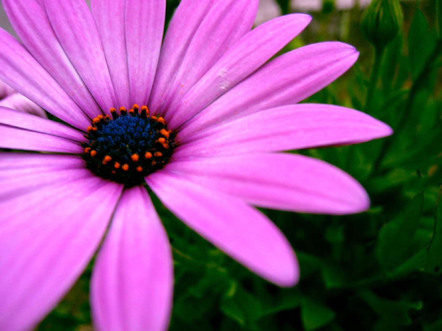 Just_a... by