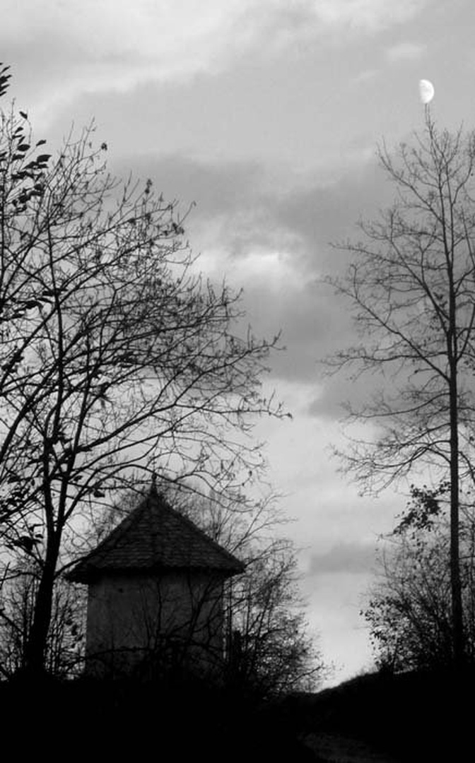 Lunca by