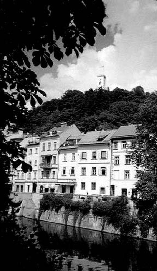 Bela_Ljubljana by
