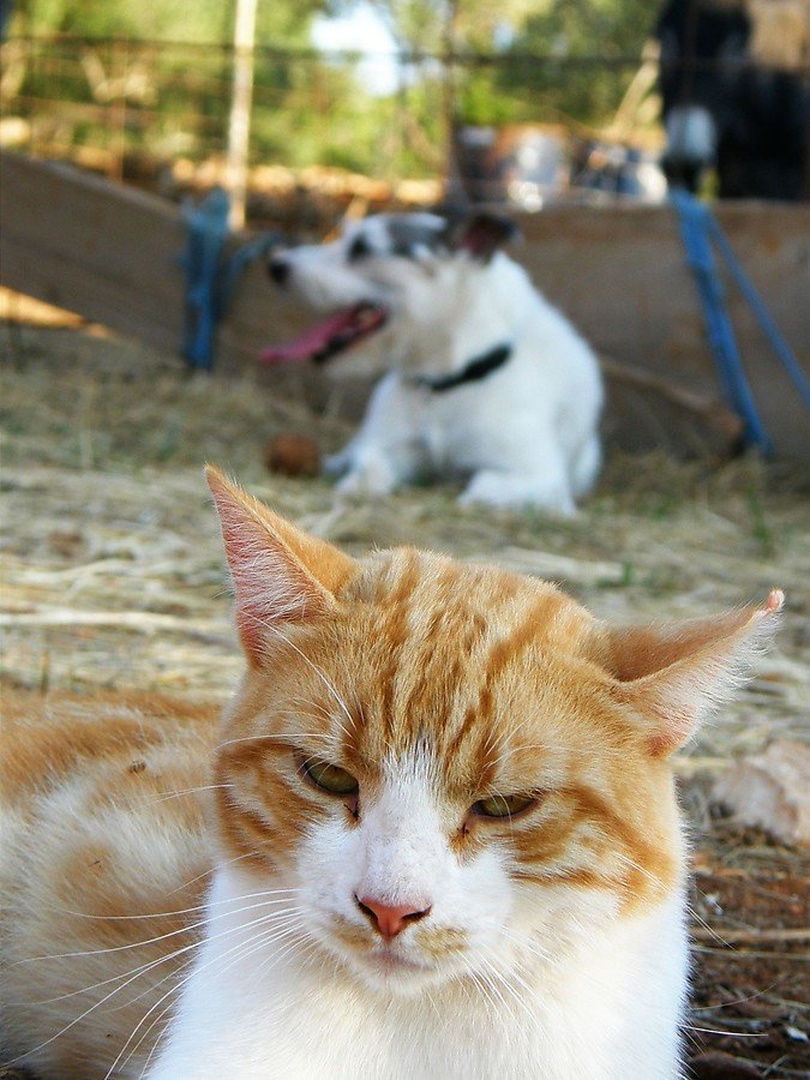 He's behind me, right? by Lara