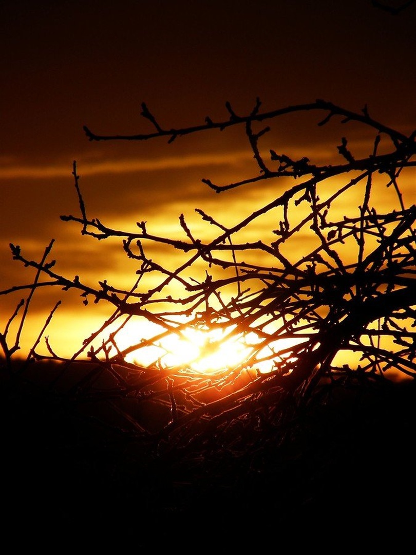sunrise by Lara
