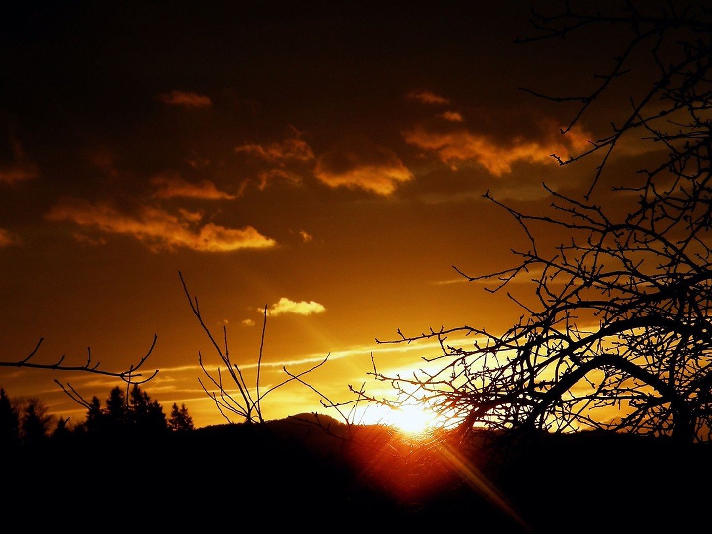 sunrise2 by Lara