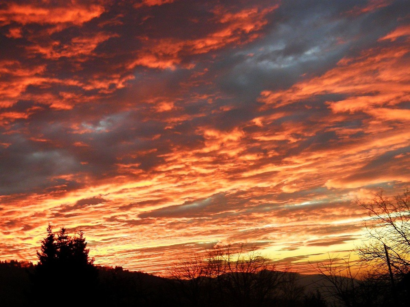 sunset by Lara
