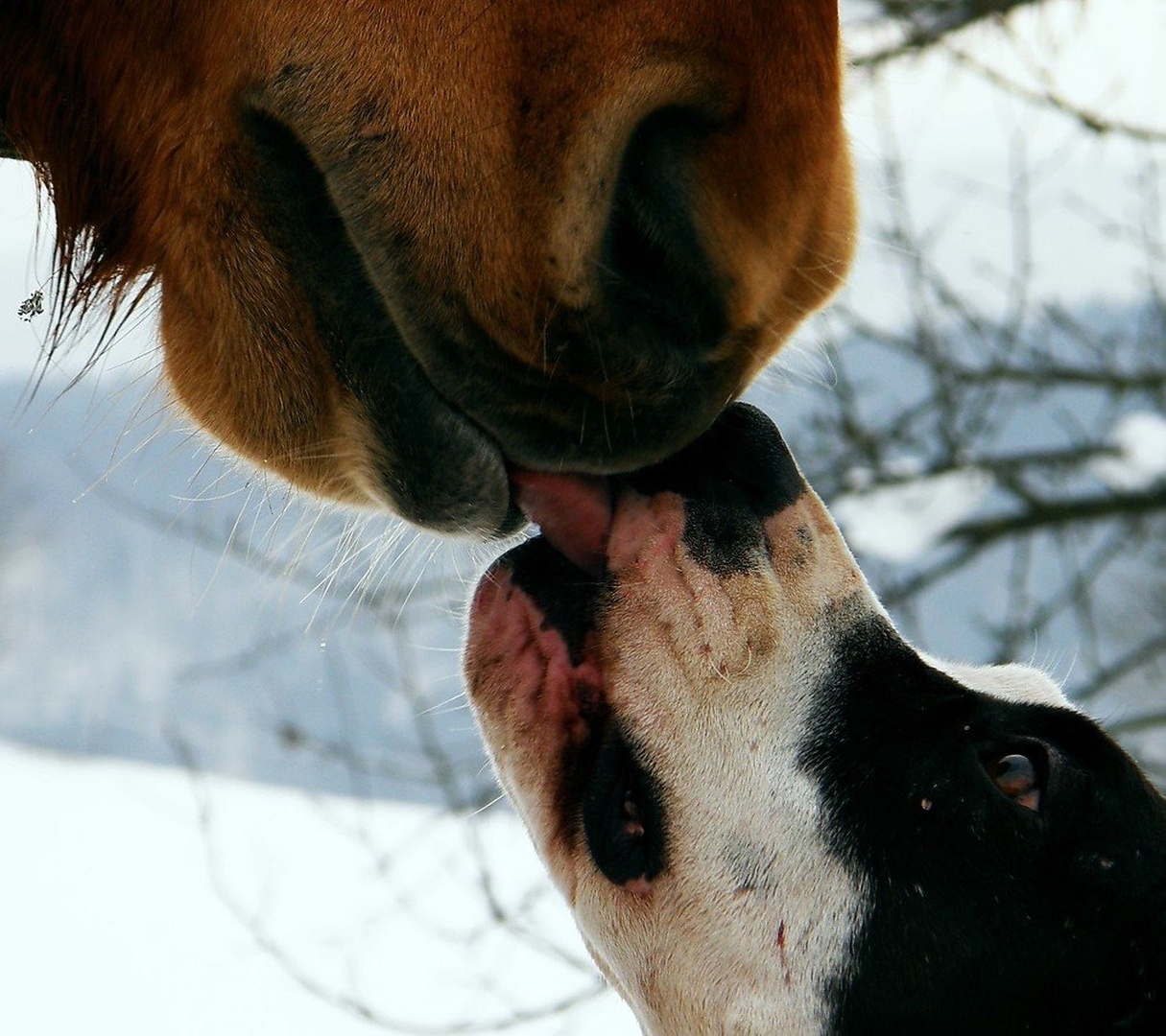 love by Lara