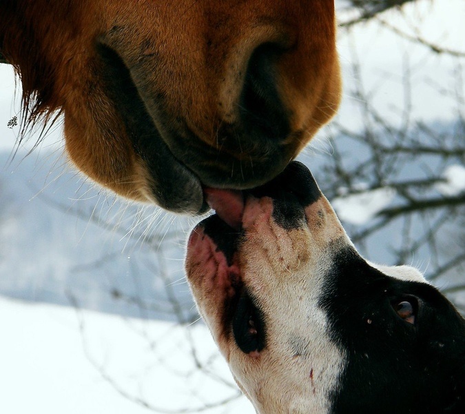 love by Lara