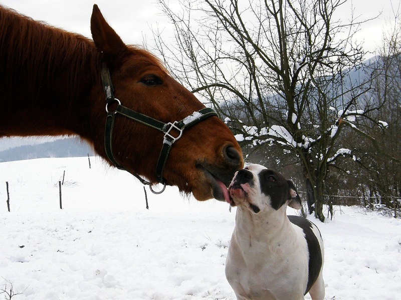 love2 by Lara