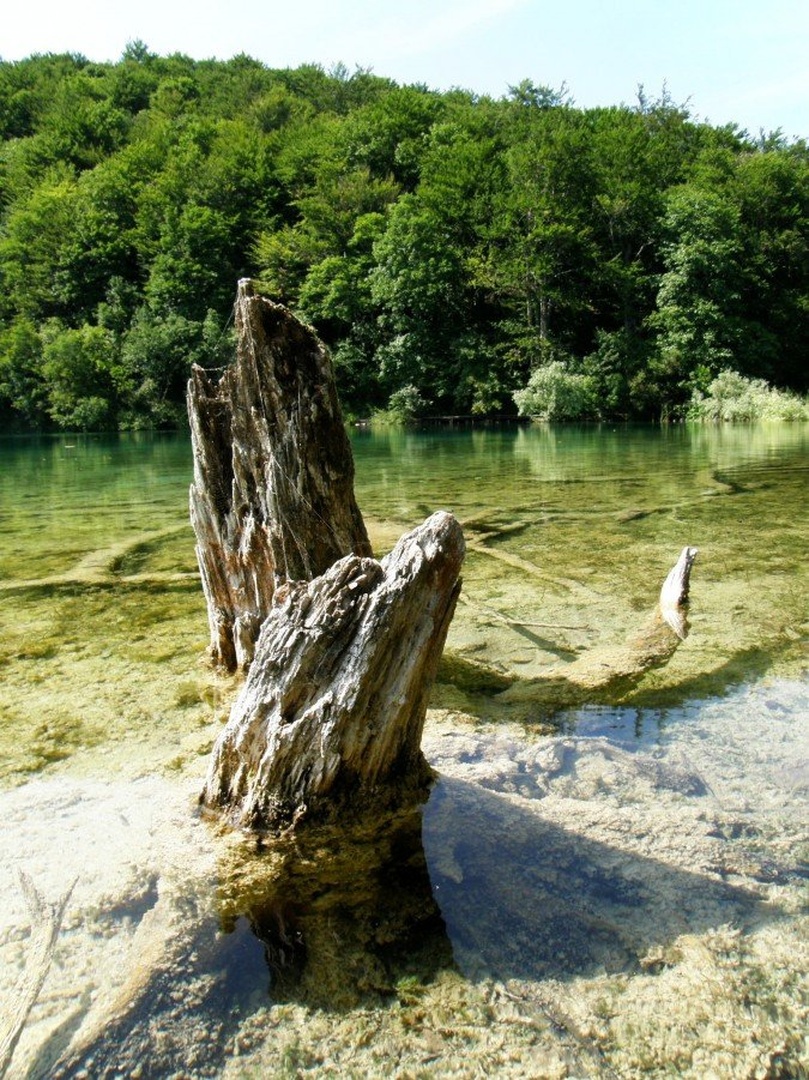 zapuščena... by Lara
