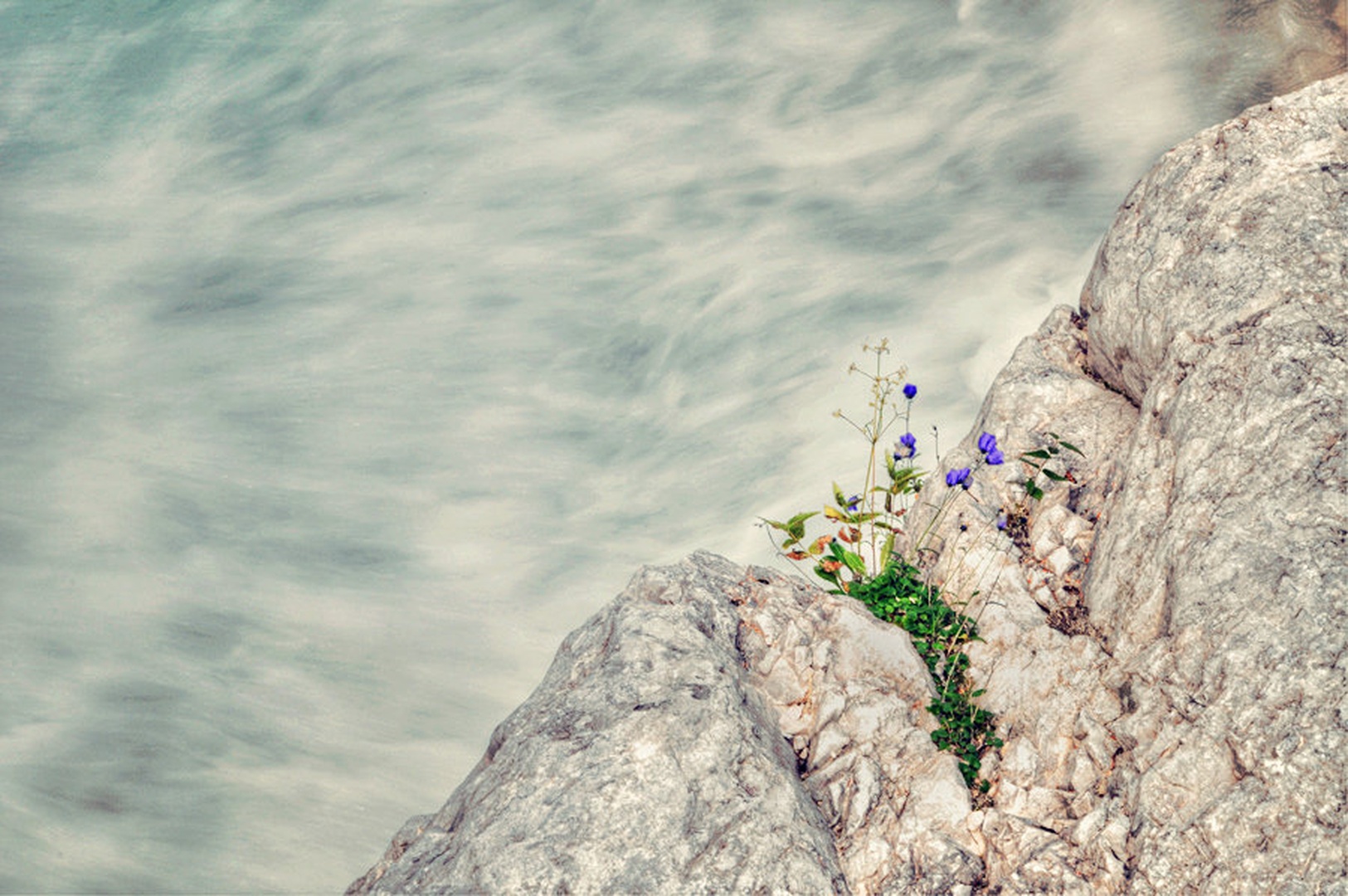 tranquility by Anja