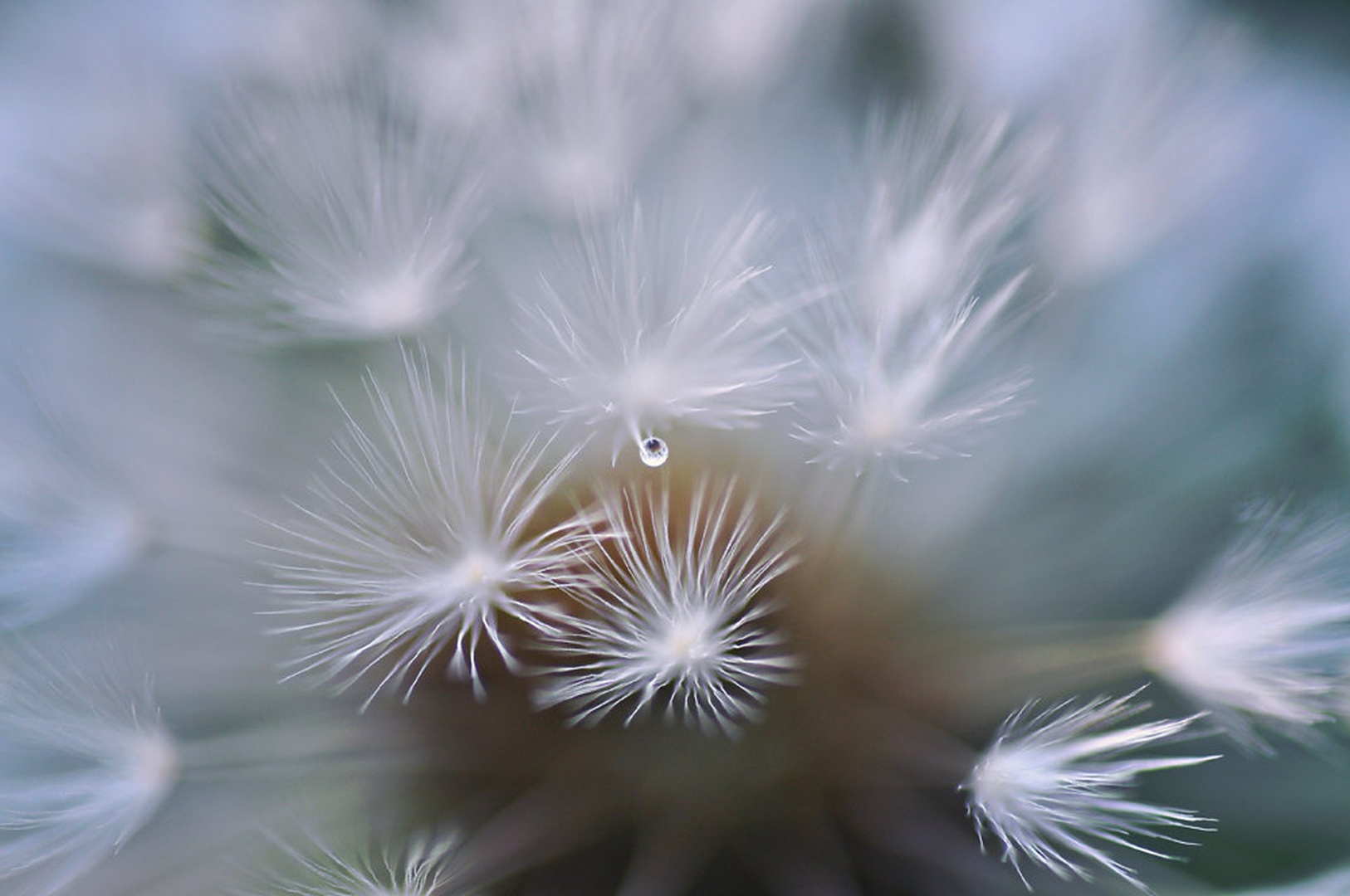 go gentle by Anja