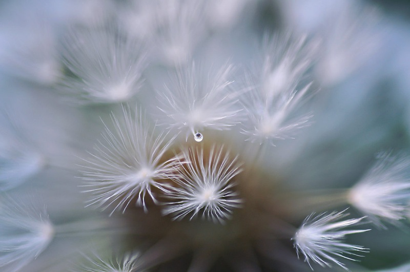 go gentle by Anja