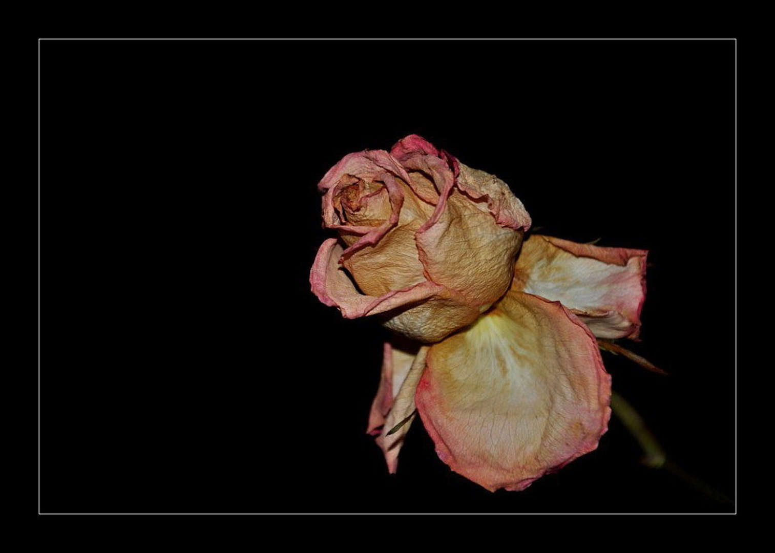 le še spomin by Anja